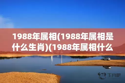 1988年属相(1988年属相是什么生肖)(1988年属相什么命)插图