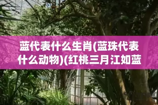 蓝代表什么生肖(蓝珠代表什么动物)(红桃三月江如蓝代表什么生肖)插图
