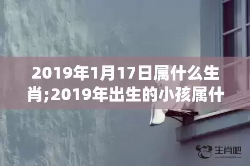 2019年1月17日属什么生肖;2019年出生的小孩属什么生肖(明确跨)插图