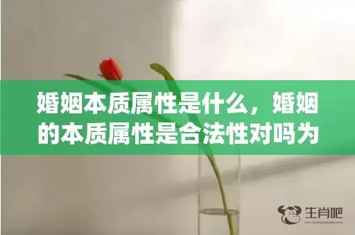 婚姻本质属性是什么，婚姻的本质属性是合法性对吗为什么(合法的婚姻以什么为标准)插图