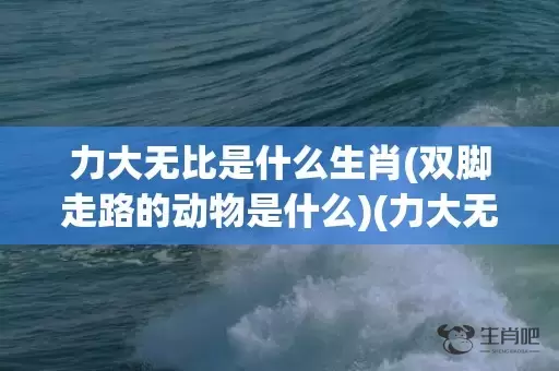 力大无比是什么生肖(双脚走路的动物是什么)(力大无比是什么生肖百度知道)插图