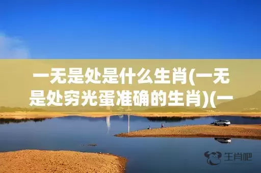 一无是处是什么生肖(一无是处穷光蛋准确的生肖)(一无是处的数字是什么)插图