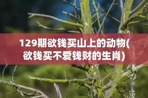 129期欲钱买山上的动物(欲钱买不爱钱财的生肖)插图