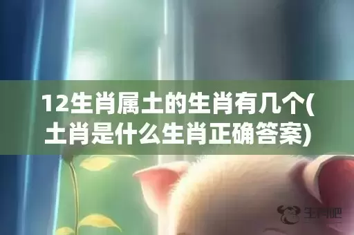 12生肖属土的生肖有几个(土肖是什么生肖正确答案)(12生肖属金木水火土)插图