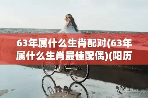 63年属什么生肖配对(63年属什么生肖最佳配偶)(阳历1963年属什么生肖)插图