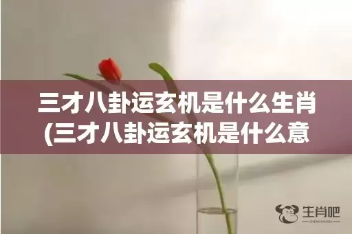 三才八卦运玄机是什么生肖(三才八卦运玄机是什么意思)(三才八卦运玄机是指哪个数字)插图