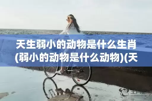 天生弱小的动物是什么生肖(弱小的动物是什么动物)(天生弱小的动物是什么)插图
