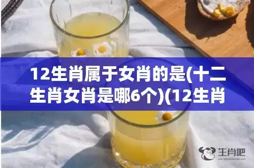 12生肖属于女肖的是(十二生肖女肖是哪6个)(12生肖哪些属于雨肖)插图