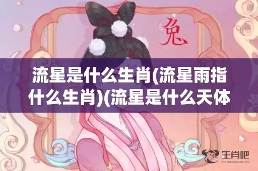 流星是什么生肖(流星雨指什么生肖)(流星是什么天体是什么生肖)插图