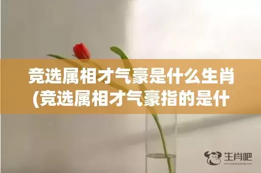 竞选属相才气豪是什么生肖(竞选属相才气豪指的是什么动物)(竞选属相才气豪谜底)插图