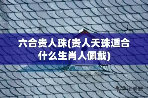 六合贵人珠(贵人天珠适合什么生肖人佩戴)插图
