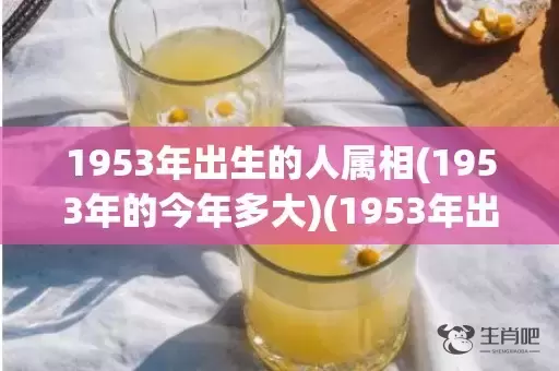 1953年出生的人属相(1953年的今年多大)(1953年出生的人能活多少岁)插图