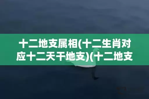 十二地支属相(十二生肖对应十二天干地支)(十二地支所属生肖及属相)插图
