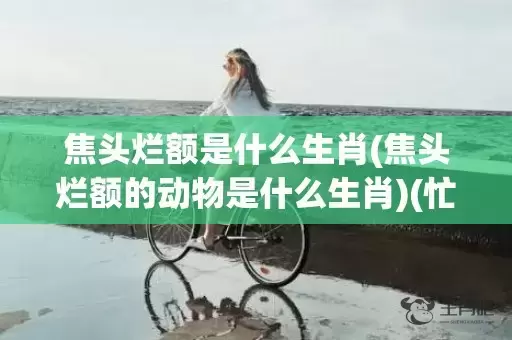 焦头烂额是什么生肖(焦头烂额的动物是什么生肖)(忙的焦头烂额是什么意思)插图