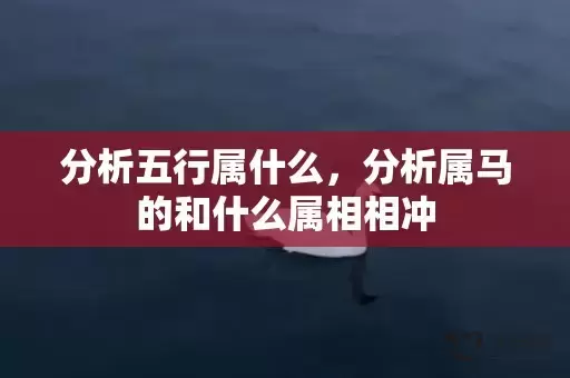 分析五行属什么，分析属马的和什么属相相冲插图