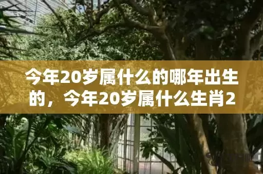 今年20岁属什么的哪年出生的，今年20岁属什么生肖2022插图