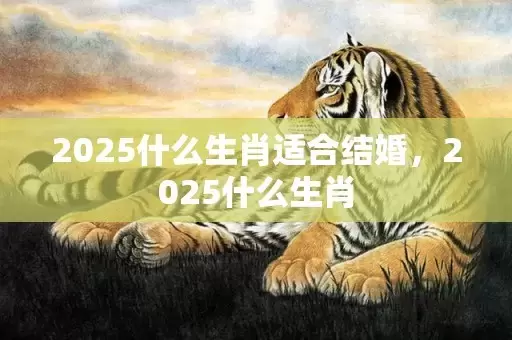 2025什么生肖适合结婚，2025什么生肖插图