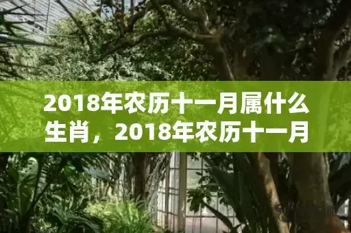 2018年农历十一月属什么生肖，2018年农历十一月二十九出生的女孩起名推荐插图