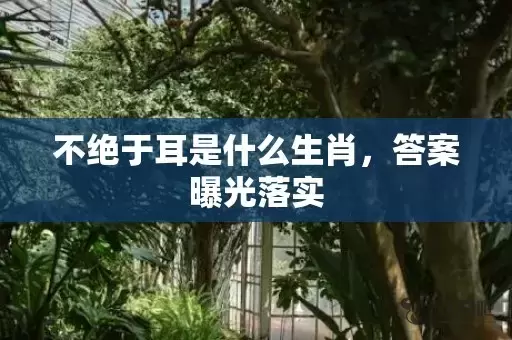 不绝于耳是什么生肖，答案曝光落实插图