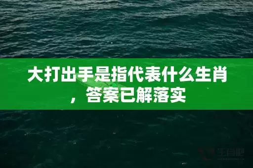 大打出手是指代表什么生肖，答案已解落实插图