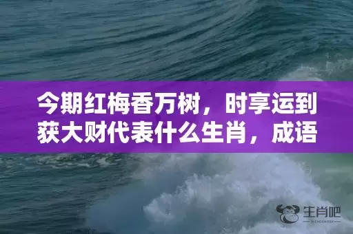 今期红梅香万树，时享运到获大财代表什么生肖，成语解析落实插图