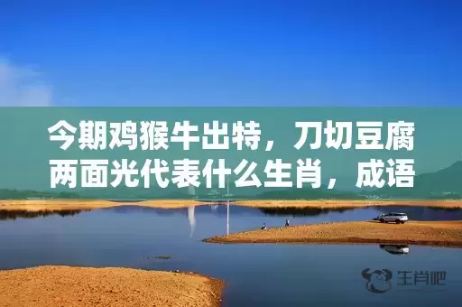今期鸡猴牛出特，刀切豆腐两面光代表什么生肖，成语解析落实插图
