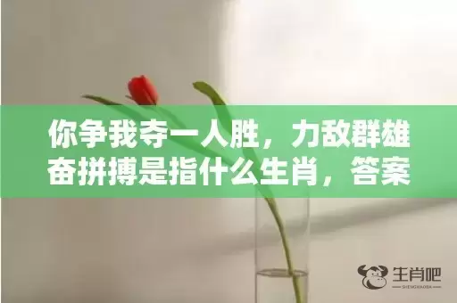 你争我夺一人胜，力敌群雄奋拼搏是指什么生肖，答案解释落实插图