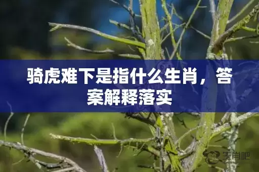 骑虎难下是指什么生肖，答案解释落实插图