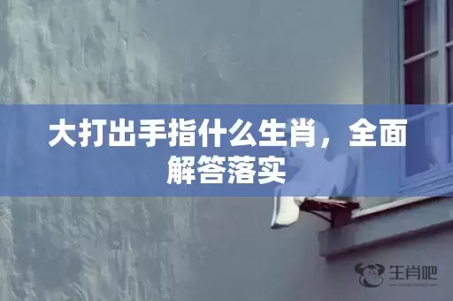 大打出手指什么生肖，全面解答落实插图