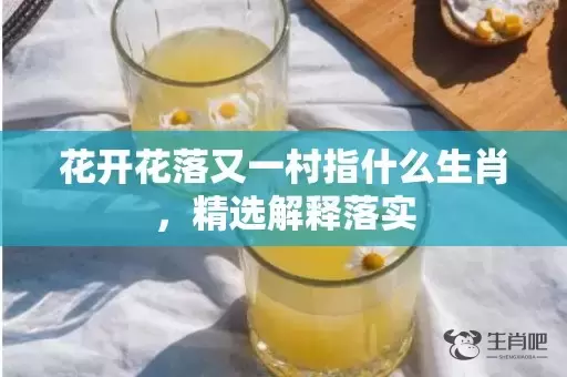 花开花落又一村指什么生肖，精选解释落实插图