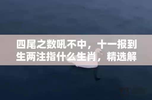 四尾之数吼不中，十一报到生两注指什么生肖，精选解释落实插图