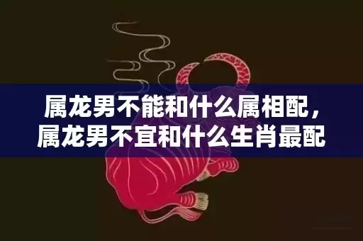 属龙男不能和什么属相配，属龙男不宜和什么生肖最配插图