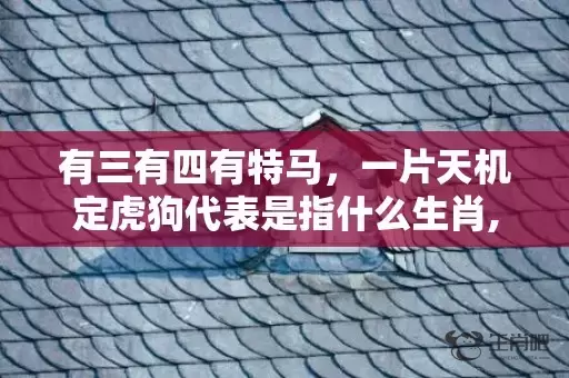有三有四有特马，一片天机定虎狗代表是指什么生肖,答案曝光落实插图