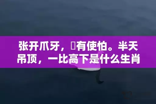 张开爪牙，冇有使怕。半天吊顶，一比高下是什么生肖,答案曝光落实插图