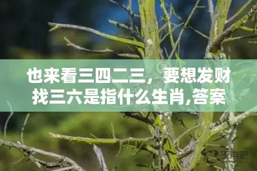 也来看三四二三，要想发财找三六是指什么生肖,答案曝光落实插图