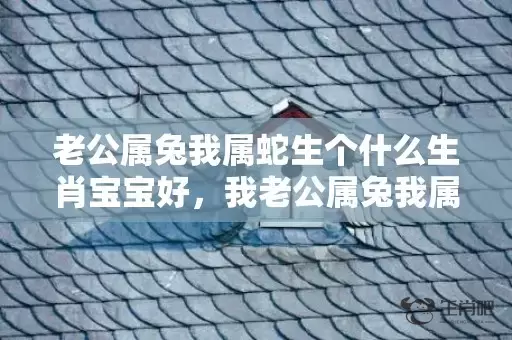 老公属兔我属蛇生个什么生肖宝宝好，我老公属兔我属蛇是不是吉日，兔男和蛇女婚配指数高吗插图