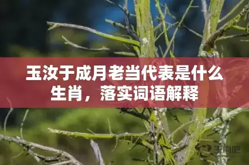 玉汝于成月老当代表是什么生肖，落实词语解释插图