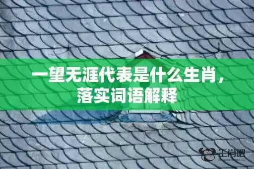 一望无涯代表是什么生肖，落实词语解释插图