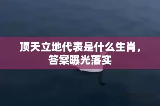 顶天立地代表是什么生肖，答案曝光落实插图