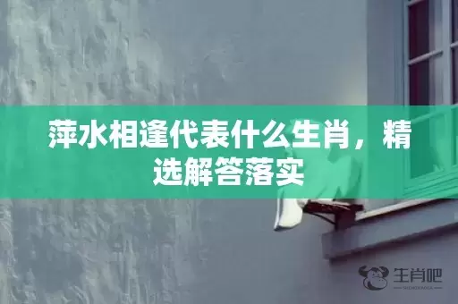 萍水相逢代表什么生肖，精选解答落实插图
