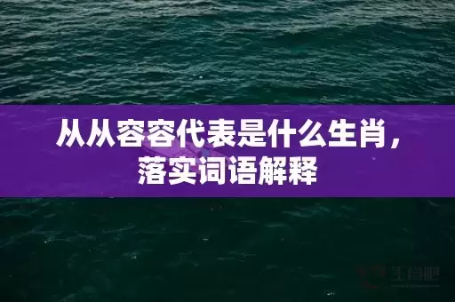 从从容容代表是什么生肖，落实词语解释插图