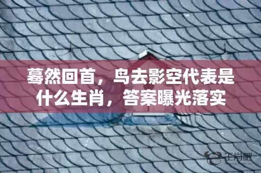 蓦然回首，鸟去影空代表是什么生肖，答案曝光落实插图