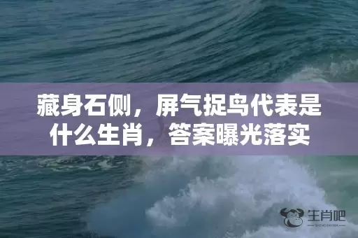 藏身石侧，屏气捉鸟代表是什么生肖，答案曝光落实插图
