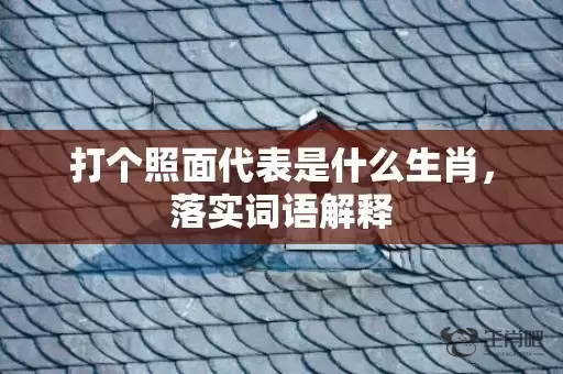 打个照面代表是什么生肖，落实词语解释插图