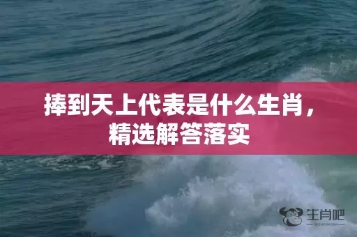 捧到天上代表是什么生肖，精选解答落实插图