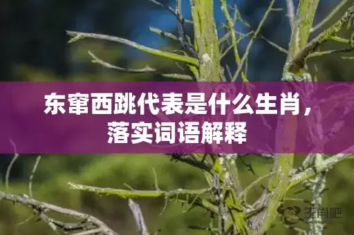 东窜西跳代表是什么生肖，落实词语解释插图
