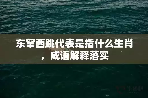 东窜西跳代表是指什么生肖，成语解释落实插图