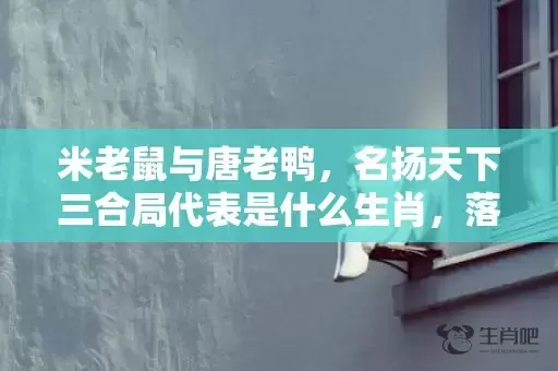 米老鼠与唐老鸭，名扬天下三合局代表是什么生肖，落实词语解释插图