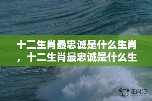 十二生肖最忠诚是什么生肖，十二生肖最忠诚是什么生肖插图