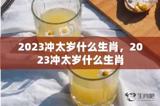 2023冲太岁什么生肖，2023冲太岁什么生肖插图